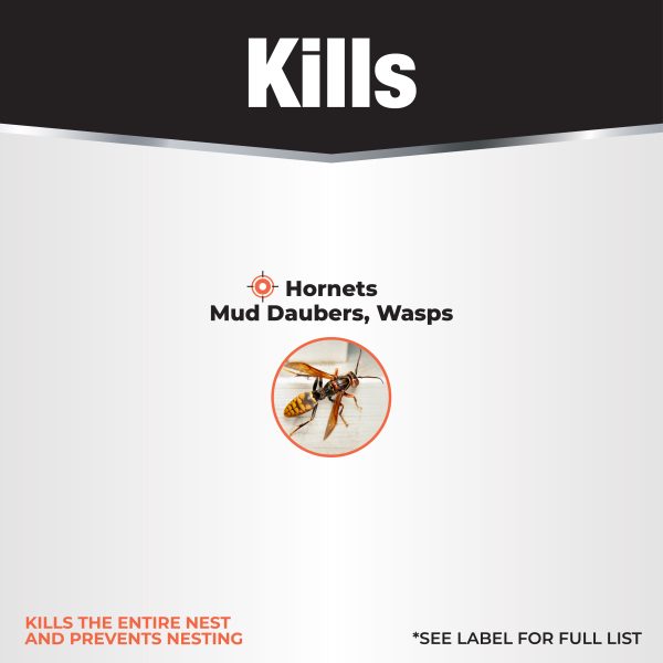 Revenge Wasp & Hornet Aerosol – Bonide – 15 oz